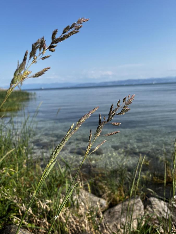 Kling Am See FDH Exteriér fotografie